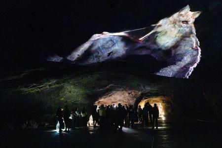 Netopýří noc v jeskyni Výpustek, 6. 9. 2025